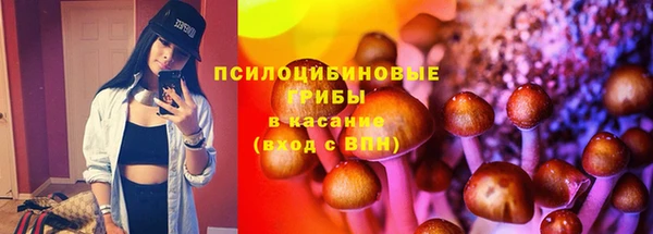 ECSTASY Медвежьегорск