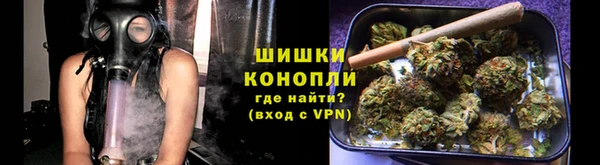 ешки Белокуриха