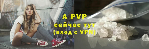 ECSTASY Медвежьегорск