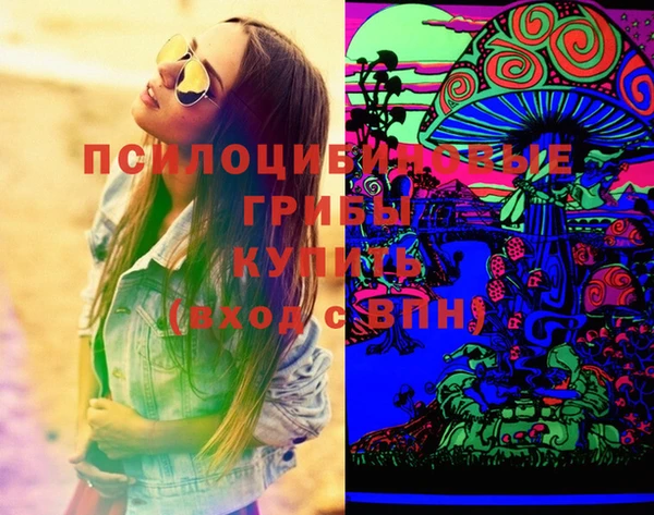 ECSTASY Михайлов