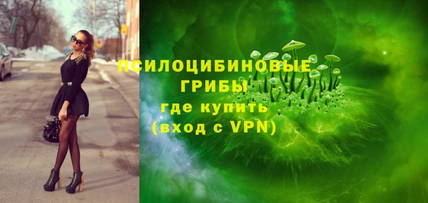 ECSTASY Михайлов