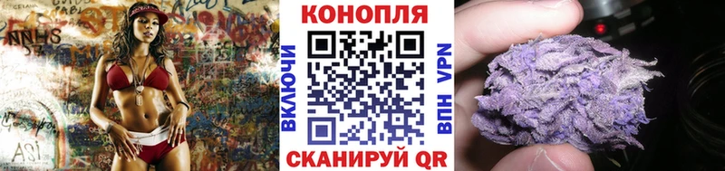 Бошки марихуана Bruce Banner  OMG вход  Динская 